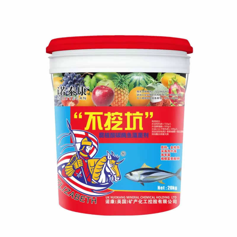 不挖坑